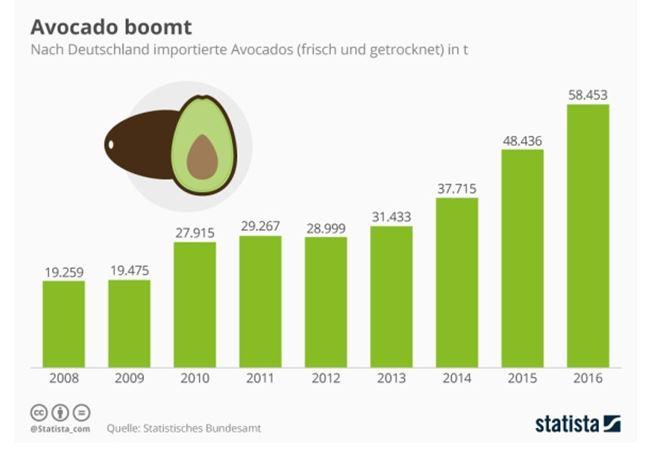 grafico_abocato